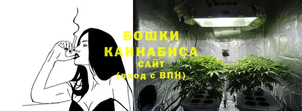 spice Белокуриха