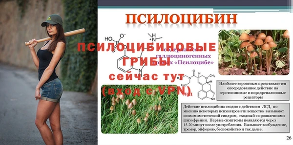 spice Белокуриха