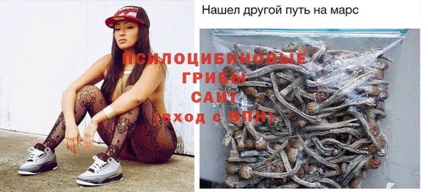 spice Белокуриха
