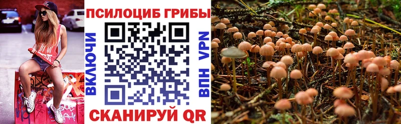 Галлюциногенные грибы GOLDEN TEACHER  где продают наркотики  Дигора 